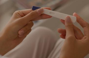 Жүктіліктің 2-ші аптасы